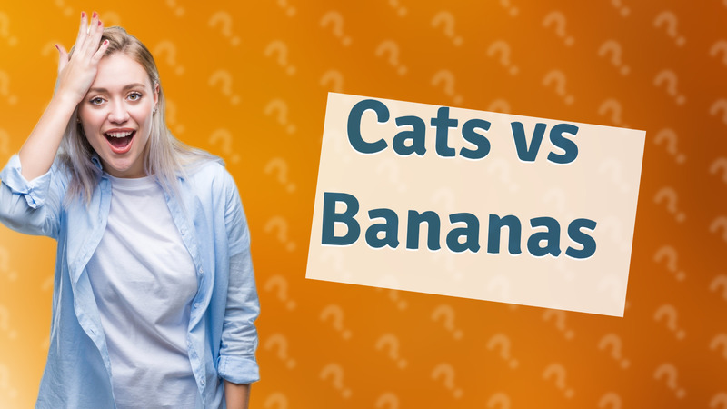 Cats vs Bananas