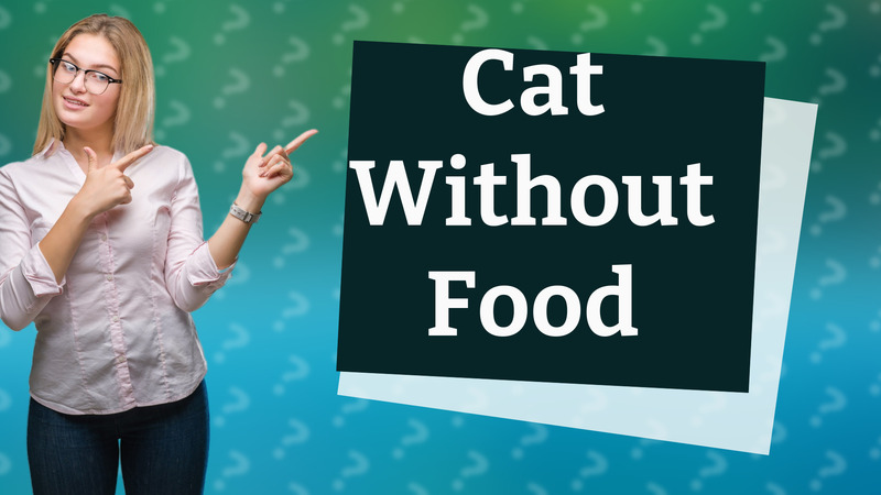 Cat Without Food