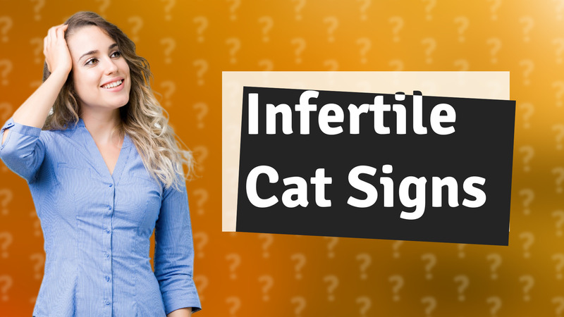 Infertile Cat Signs