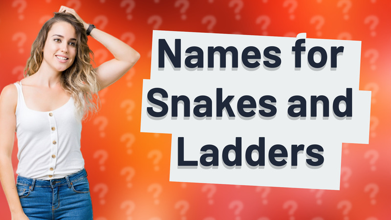 Names for Snakes and Ladders