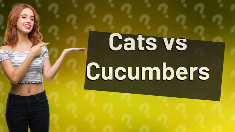 Cats vs Cucumbers