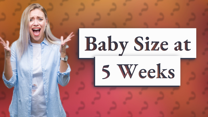 Baby Size at 5 Weeks