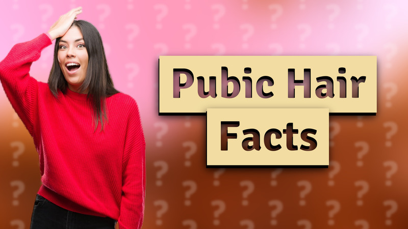 Pubic Hair Facts