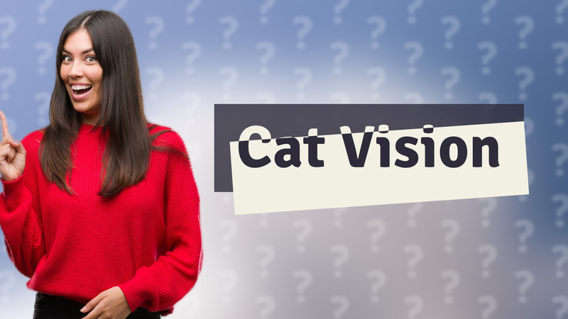 Cat Vision