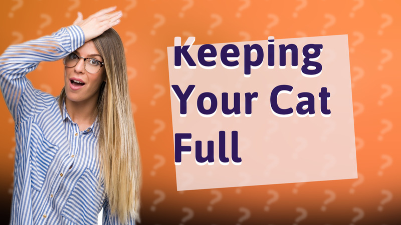 Keeping Your Cat Full