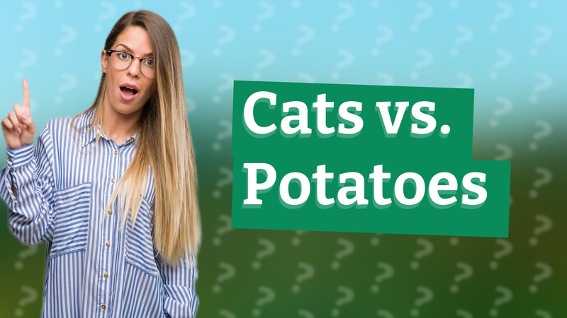Cats vs. Potatoes
