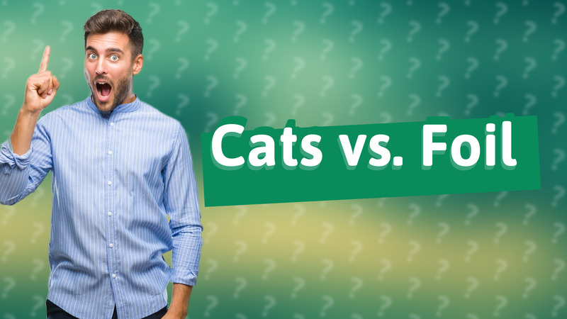 Cats vs. Foil