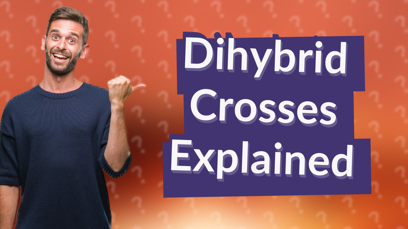 Dihybrid Crosses Explained