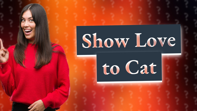 Show Love to Cat