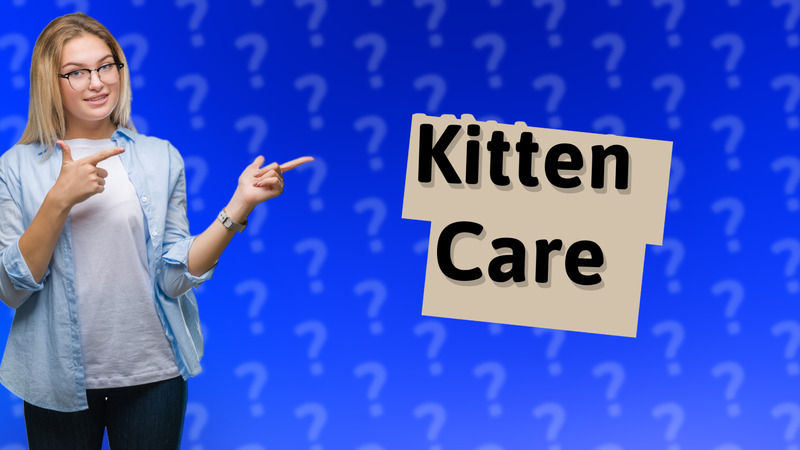Kitten Care