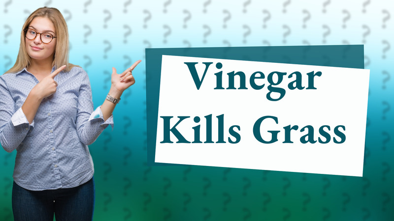 Vinegar Kills Grass