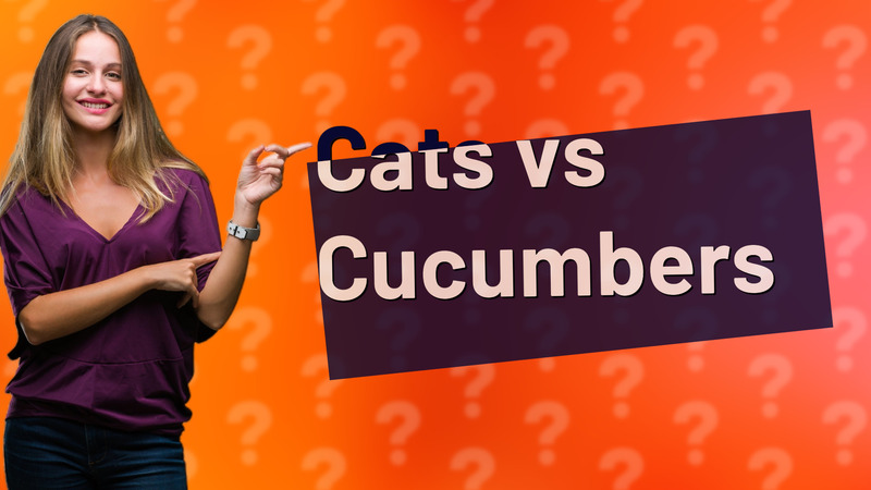 Cats vs Cucumbers
