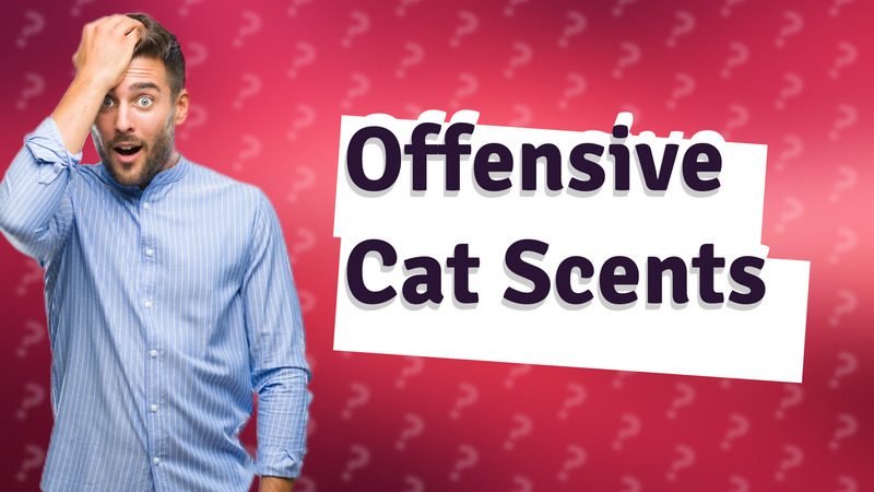 Offensive Cat Scents