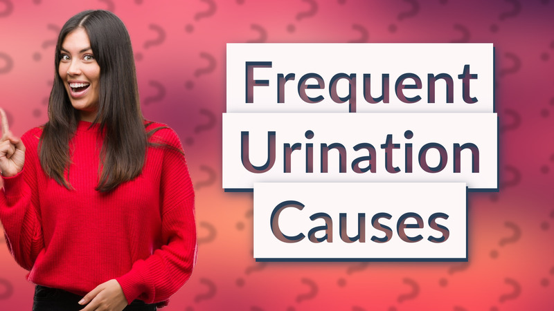 Frequent Urination Causes