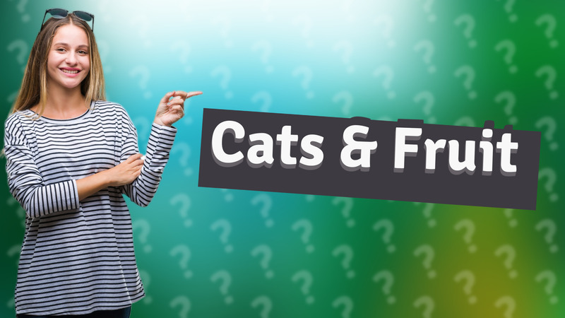 Cats & Fruit