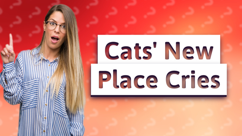 Cats' New Place Cries
