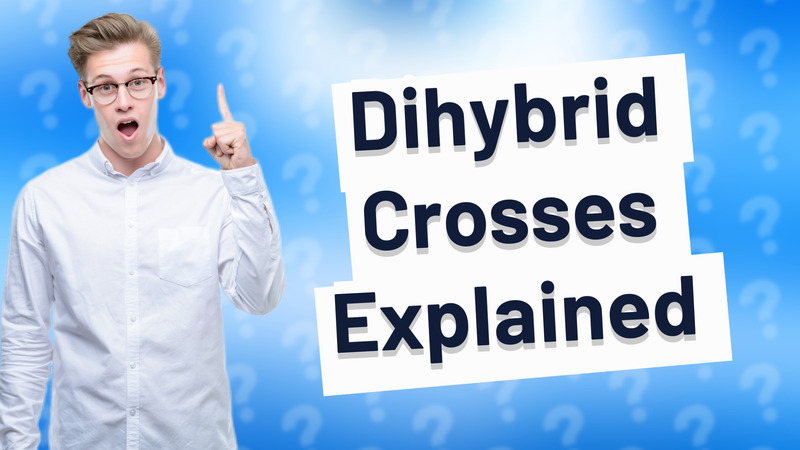 Dihybrid Crosses Explained