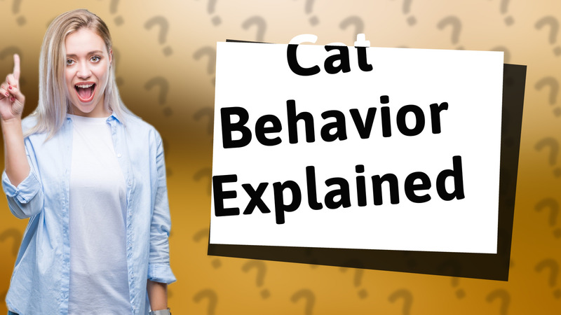 Cat Behavior Explained
