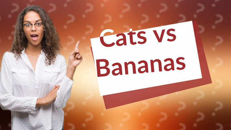 Cats vs Bananas