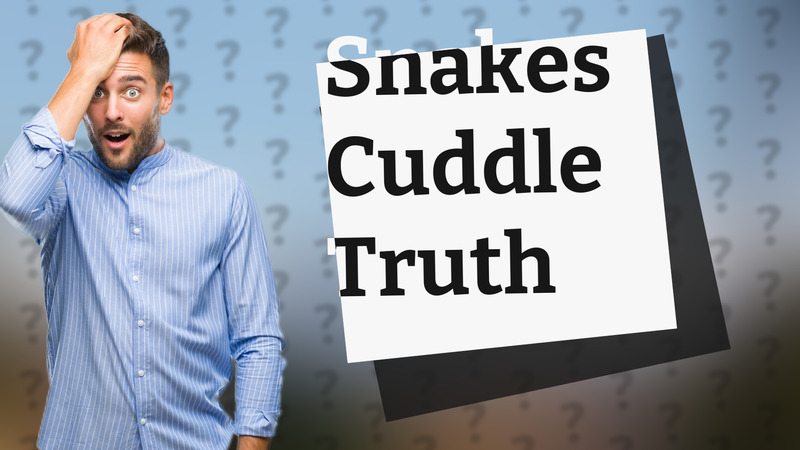 Snakes Cuddle Truth