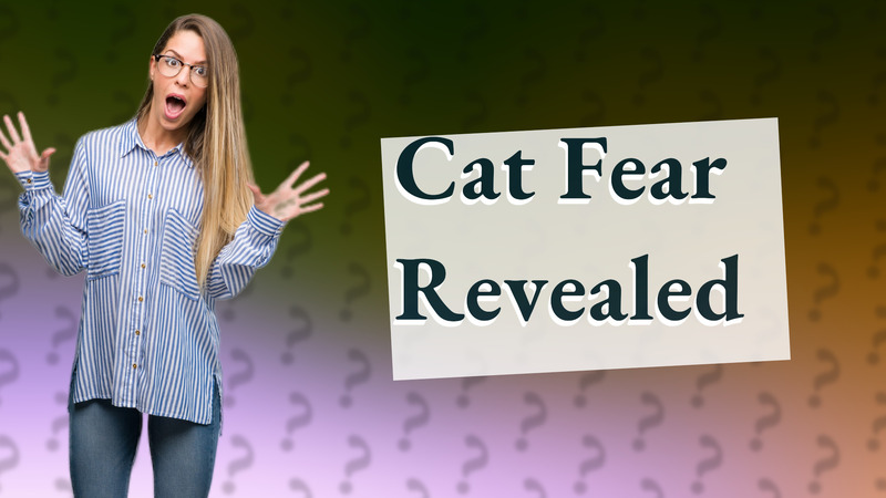 Cat Fear Revealed