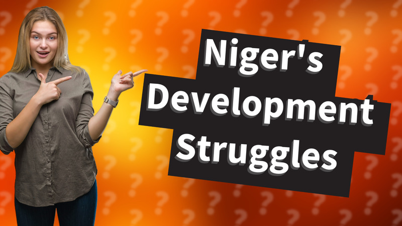 Niger's Development Struggles