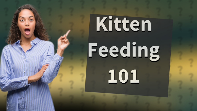 Kitten Feeding 101
