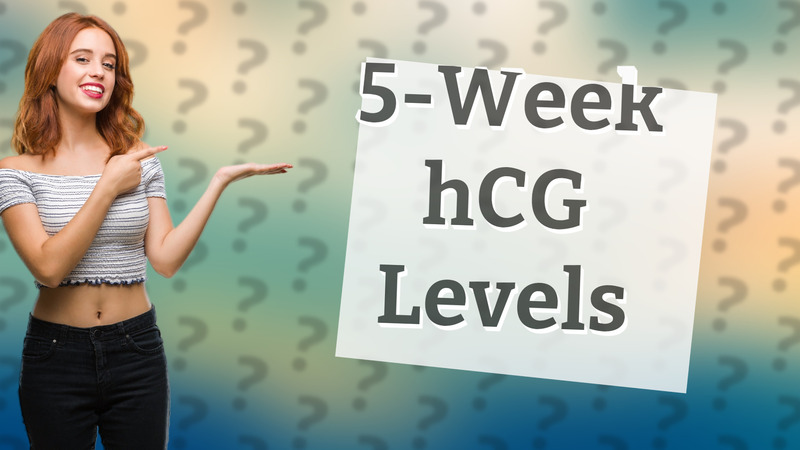 5-Week hCG Levels