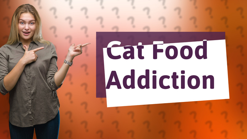 Cat Food Addiction