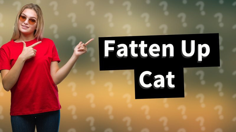 Fatten Up Cat