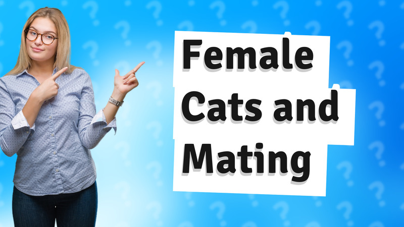 Female Cats and Mating