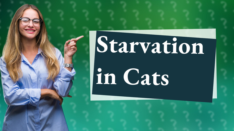 Starvation in Cats