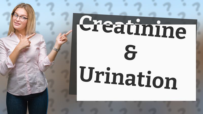 Creatinine & Urination