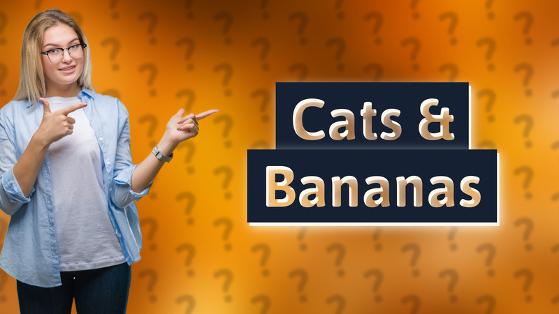 Cats & Bananas