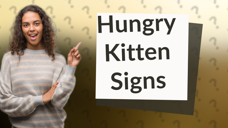Hungry Kitten Signs