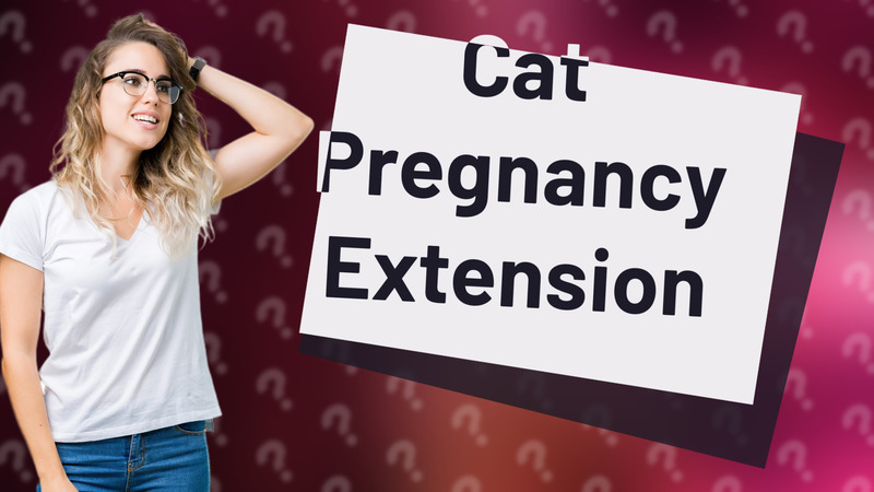 Cat Pregnancy Extension