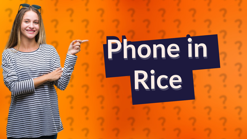 Phone in Rice