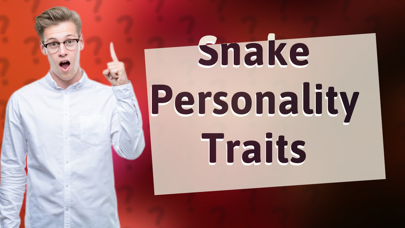 Snake Personality Traits
