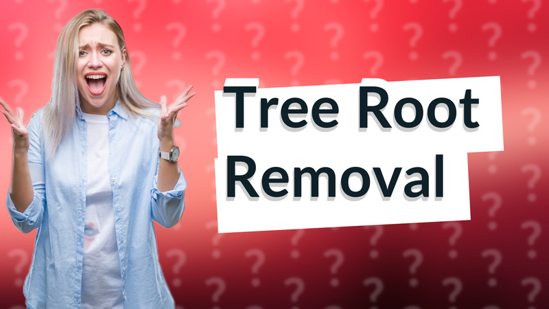 Tree Root Removal