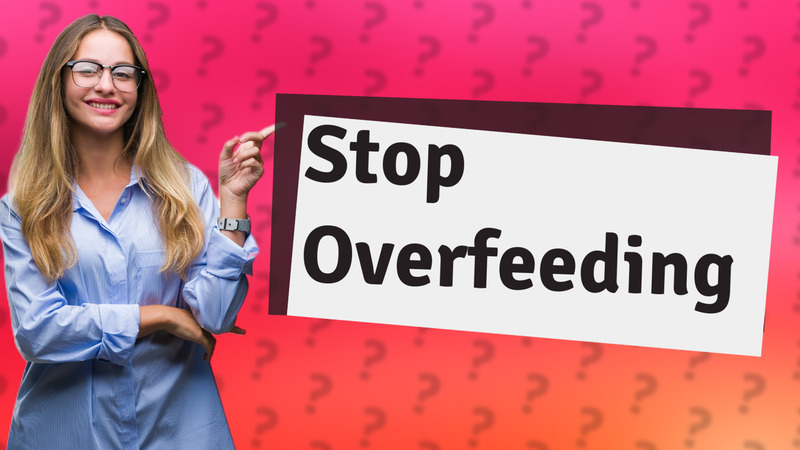 Stop Overfeeding