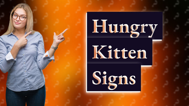 Hungry Kitten Signs