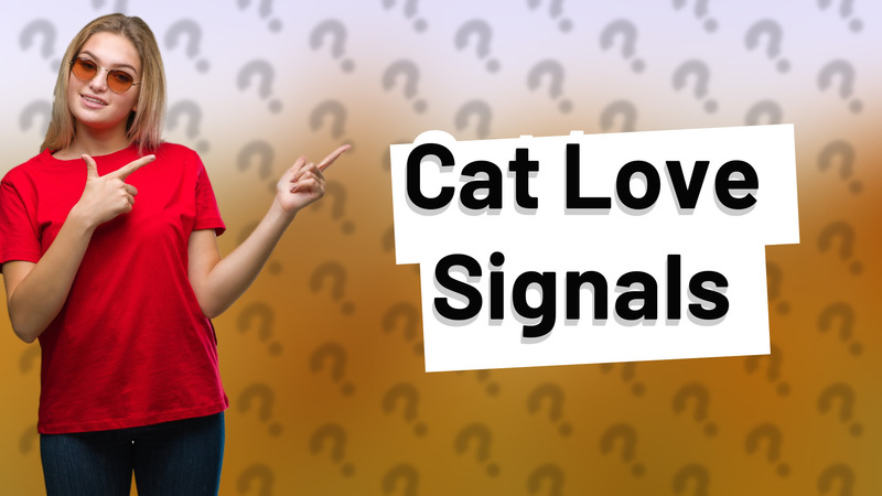 Cat Love Signals