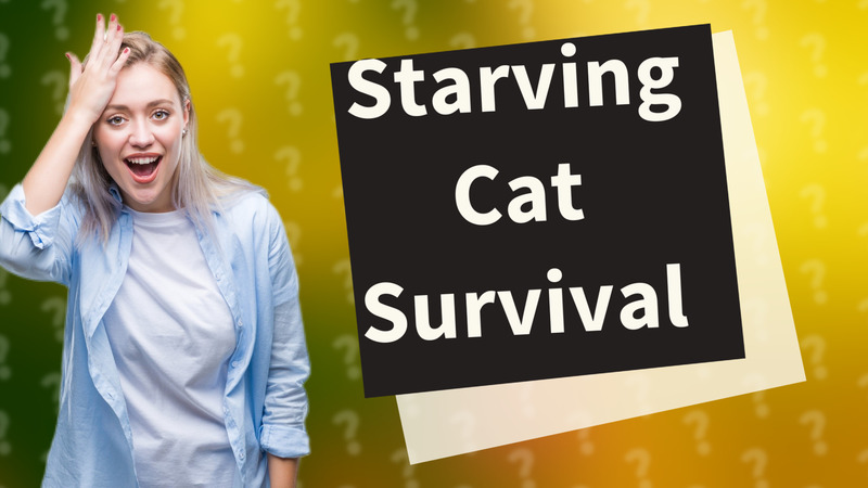 Starving Cat Survival