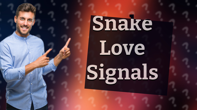 Snake Love Signals
