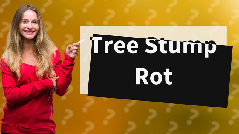Tree Stump Rot