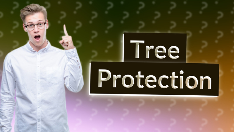 Tree Protection