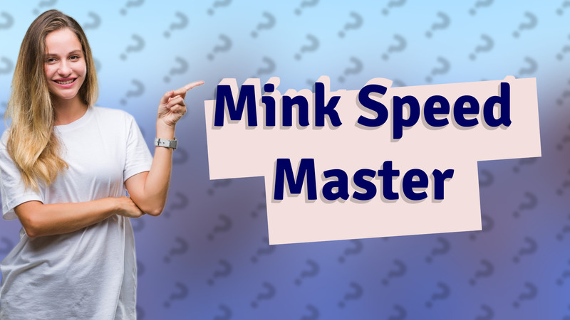 Mink Speed Master