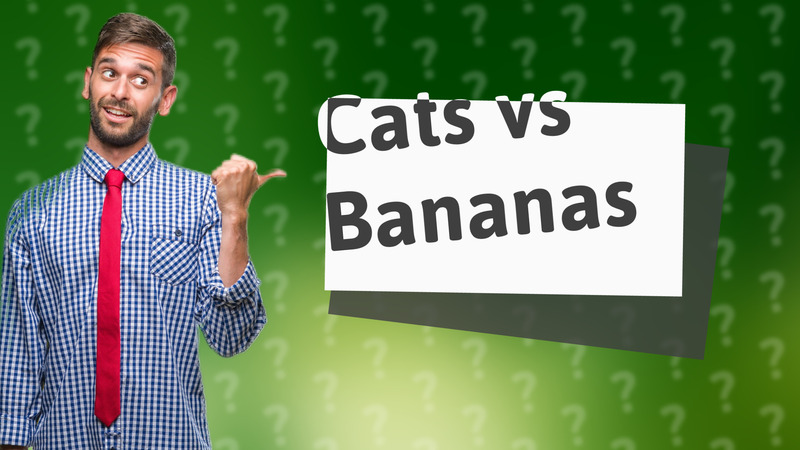 Cats vs Bananas