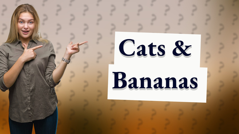 Cats & Bananas
