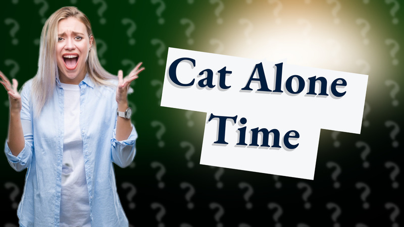 Cat Alone Time
